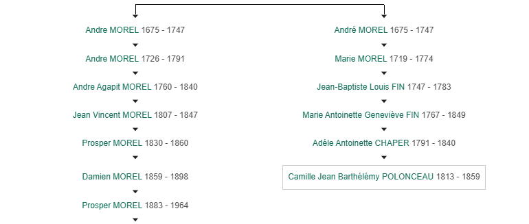 Nos arbres généalogiques