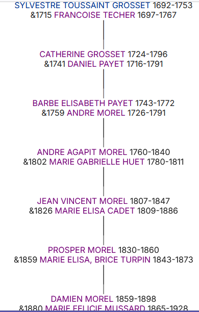 ARBRE DES DESCENDANTS